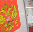 Выборы 2021 в Волгодонске. Три дня голосования, ДЭГ и видеонаблюдение на участках - V-Pravda.Ru