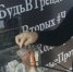 Салон «Мафия красоты» собрал на благотворительность почти 16 тысяч рублей в Волгодонске - DonDay-Volgodonsk.Ru