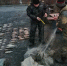 В Волгодонском районе на магистральном канале поймали очередного браконьера - Volgodonsk.Pro