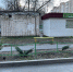 Дежурный по Волгодонску: в микрорайоне № 8 срубили две молодые елки - Volgodonsk.Pro