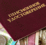 В Госдуме анонсировали автоматическую индексацию пенсий - Телекомпания ВТВ