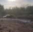 В Цимлянском водохранилище поймали очередного браконьера и изъяли рыбу на 100 тысяч рублей - Volgodonsk.Pro