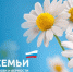 В учреждениях культуры Волгодонска прошли мероприятия, посвященные Всероссийскому дню семьи, любви и верности - Отдел культуры