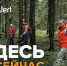 День добровольца. Поисковый отряд «ЛизаАлерт» в Ростовской области помогал в поисках более 4700 человек - V-Pravda.Ru