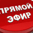 Сергей Макаров в прямом эфире ответит на вопросы горожан - Телекомпания ВТВ