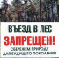 Мониторинг пожарной опасности ведется на всей площади государственного лесного фонда Дона - V-Pravda.Ru