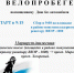 23 сентября в Волгодонске состоится городской велопробег, посвященный Дню без автомобиля. - Телекомпания ВТВ
