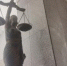 В Волгодонске осудили мужчину, пытавшегося ограбить банк в хуторе Рябичев - DonDay-Volgodonsk.Ru
