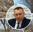Для растопки мангалов и бань собирать упавшие ветки можно, рубить и пилить растущие — нельзя - Bloknot-Volgodonsk.Ru