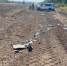 Два человека пострадали в аварии на трассе Шахты—Цимлянск - DonDay-Volgodonsk.Ru