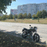 Сбил насмерть собаку 16-летний мотоциклист на проспекте Курчатова - Bloknot-Volgodonsk.Ru