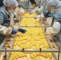 Нацпроект «Производительность труда» на Дону увеличил выработку готовой продукции - V-Pravda.Ru