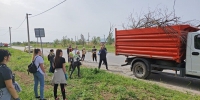 Волгодонцев призывают выйти на субботник 2 ноября - V-Pravda.Ru