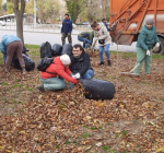 photo2024-11-0209-40-53