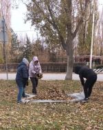 photo2024-11-2116-11-30