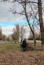 photo2024-11-2116-11-35