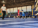В Волгодонске состоялось торжественное открытие первенства и чемпионата по боксу