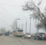 В Волгодонске водителя троллейбуса сбил неизвестный автомобиль - DonDay-Volgodonsk.Ru