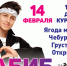 Фанаты Хабиба – ликуйте! - Bloknot-Volgodonsk.Ru