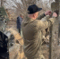 Администрация Волгодонска ответила на обращение зооактивистов о восстановлении «собачьего городка» - Bloknot-Volgodonsk.Ru