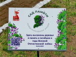 В Волгодонске прошла церемония высадки деревьев в рамках акции «Сад памяти»