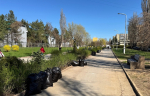 Сколько мешков мусора уже собрали на субботниках, подсчитали в Волгодонске