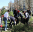 В Волгодонске общегородской субботник запланировали на День космонавтики - V-Pravda.Ru