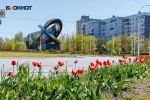 Таким как сегодня, Волгодонск можно увидеть лишь раз в году