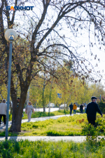 Таким как сегодня, Волгодонск можно увидеть лишь раз в году