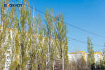 Таким как сегодня, Волгодонск можно увидеть лишь раз в году