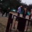 Конфликт не имел национальной подоплеки: в полиции прокомментировали жестокое избиение жителя Мартыновского района - Bloknot-Volgodonsk.Ru