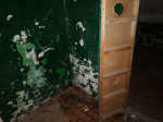 «Не дом, а гадюшник»: жители Волгодонска возмущены состоянием подъезда в многоквартирном доме