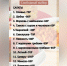 Диетические фитнес-обеды, спорт-меню и домашняя еда: кафе «Бонжур» заботится  о каждом - Bloknot-Volgodonsk.Ru