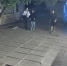 Наглый грабеж возле «Орбиты»: малолетние вандалы сорвали камеру наблюдения на торговой площади в Волгодонске - Bloknot-Volgodonsk.Ru
