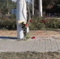Волгодонцы несут цветы к месту гибели сбитых ночным гонщиком девушек на проспекте Строителей - Bloknot-Volgodonsk.Ru