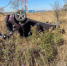 В Дубовском районе перевернулся «Хендай» - DonDay-Volgodonsk.Ru
