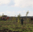 День древонасаждения пройдет в Волгодонске - Bloknot-Volgodonsk.Ru