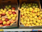 В Волгодонске самые дорогие яблоки и морковь в донском регионе
