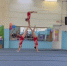 Россыпь наград завоевали акробаты Волгодонска на областных соревнованиях - DonDay-Volgodonsk.Ru