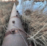 В Волгодонске ремонт водовода В-24 оценивается в 758 млн рублей - DonDay-Volgodonsk.Ru