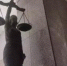В Волгодонске будут судить полицейского, который брал взятки с табачных бизнесменов - DonDay-Volgodonsk.Ru