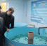 Губернатор поручил развивать водные биоресурсы в бассейне Азовского моря - Bloknot-Volgodonsk.Ru