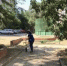 В Волгодонске потратят 6,9 млн рублей на благоустройство территорий - DonDay-Volgodonsk.Ru