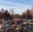 В Волгодонске на вывоз мусора с кладбищ потратят почти 2 млн рублей - DonDay-Volgodonsk.Ru