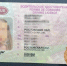 Автоледи с поддельными правами остановили сотрудники волгодонского ГАИ - V-Pravda.Ru
