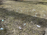 «Как уныло выглядит город!»: неубранный Волгодонск вгоняет женщину в тоску