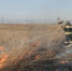 В Волгодонске проводят контролируемый пал сухой растительности - DonDay-Volgodonsk.Ru