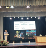 Волгодонск снова возглавил рейтинг культурных городов Дона