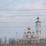 «Лучший открыточный вид в городе уничтожили бездумной посадкой деревьев»: волгодонец о странном озеленении около путепровода - Bloknot-Volgodonsk.Ru