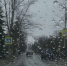 Субботника завтра не будет: погода испортила планы на уборку города - Bloknot-Volgodonsk.Ru